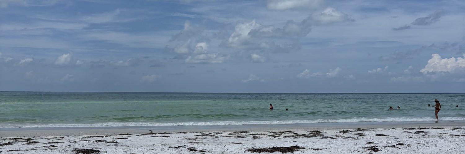 Hailey Wilson banner