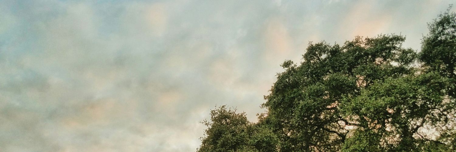 nathaniel_wav's profile banner image