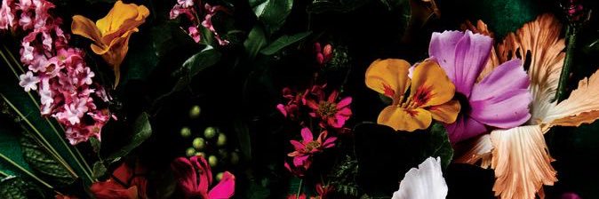 Bev banner