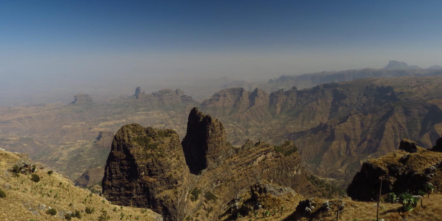 Craig Holliday banner