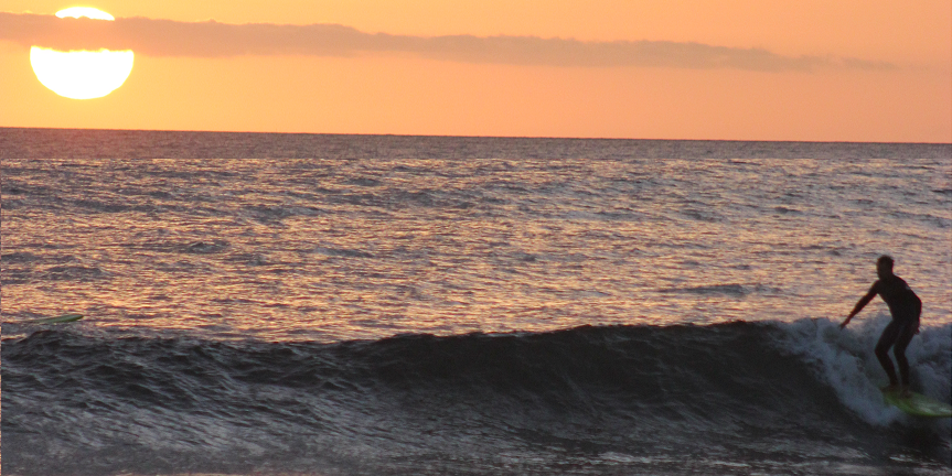 SurfCanaries's profile banner image