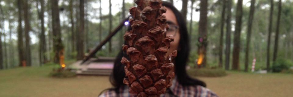 tonosuhar36's profile banner image