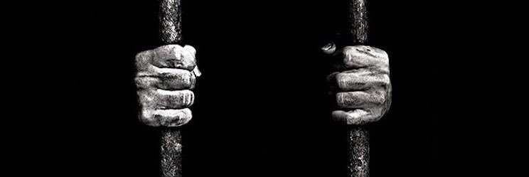 Theo Smedes banner