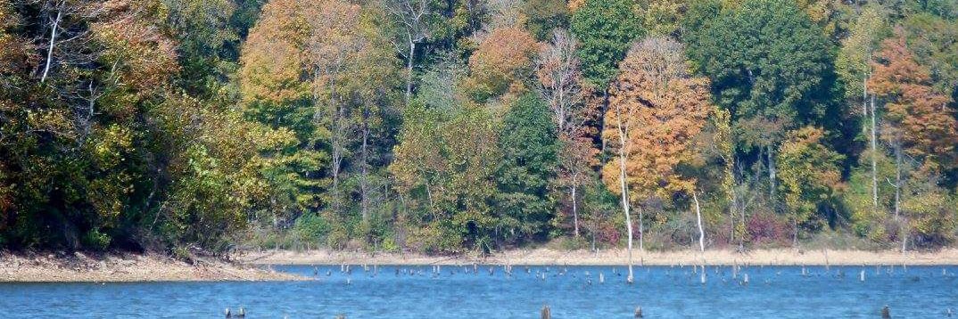 FrenchLick's profile banner image