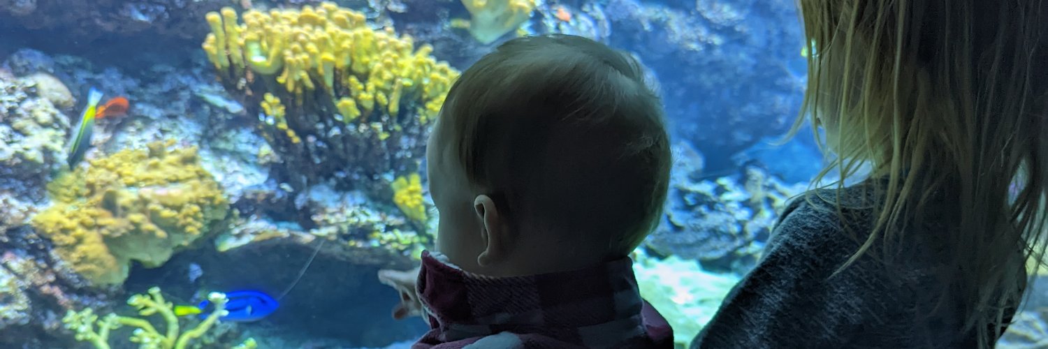 Dr. Serena Caplins banner