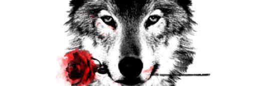 _thure's profile banner image