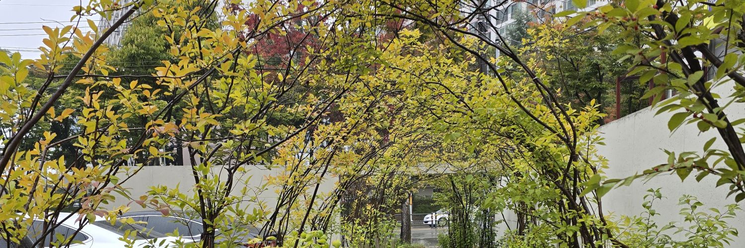 yoon3747's profile banner image
