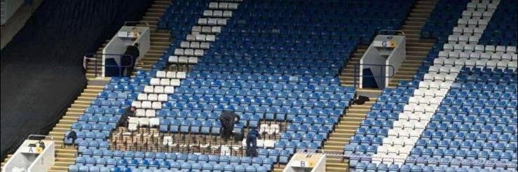 Chris Brammer 🦉 banner