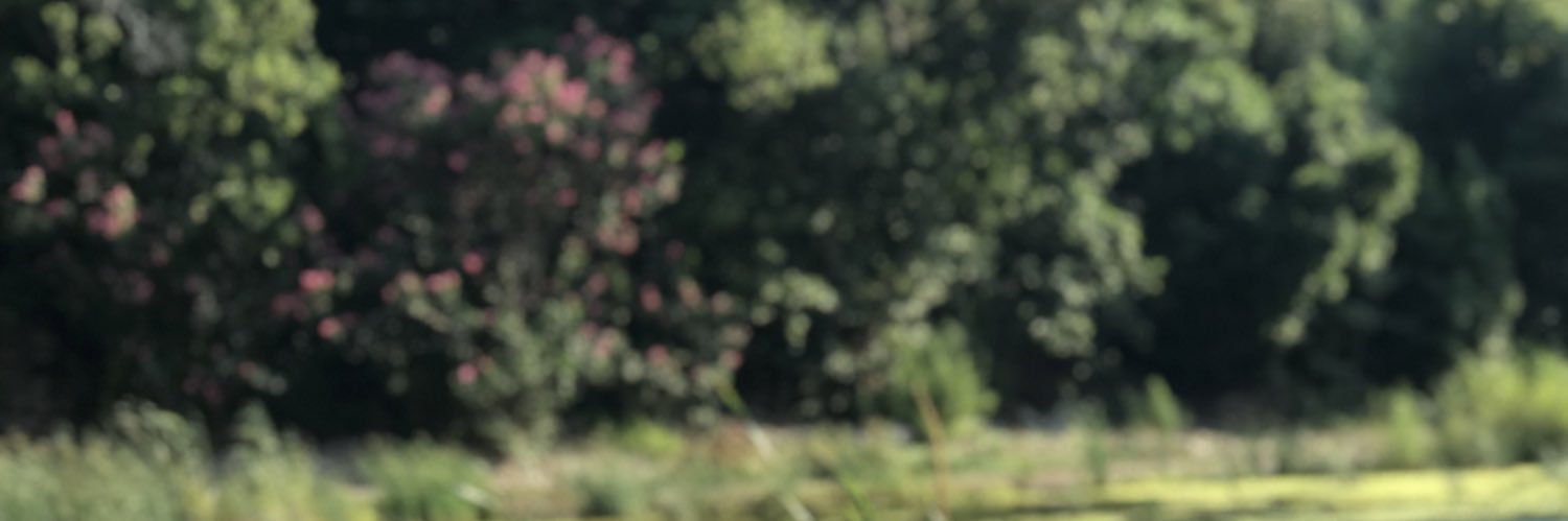 emirdir's profile banner image
