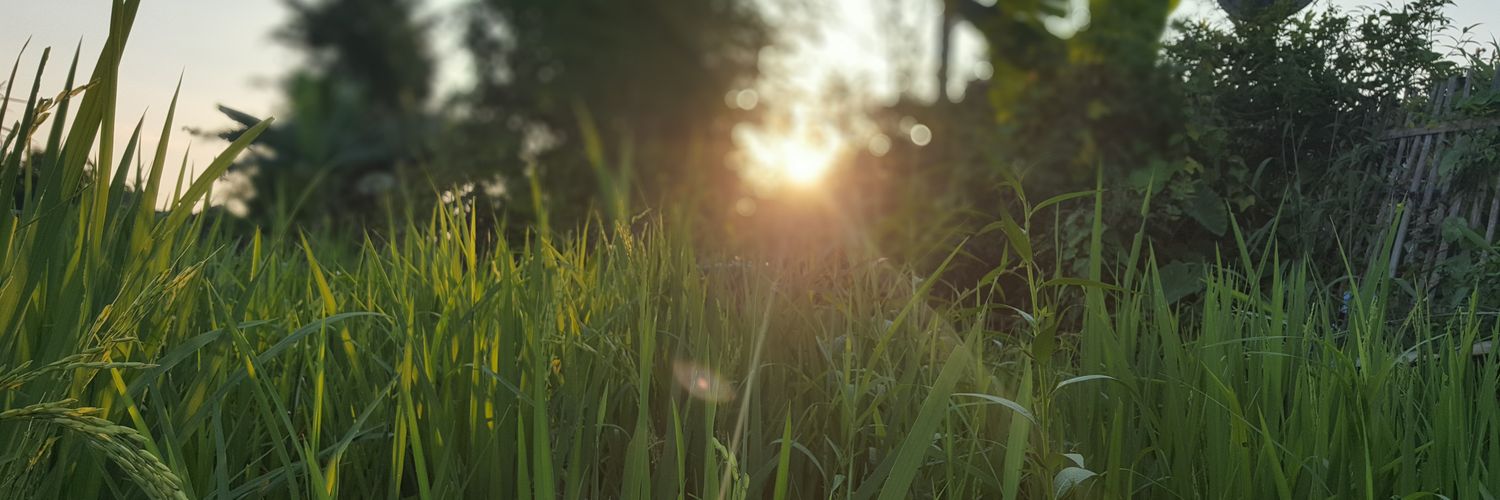 Sei363's profile banner image
