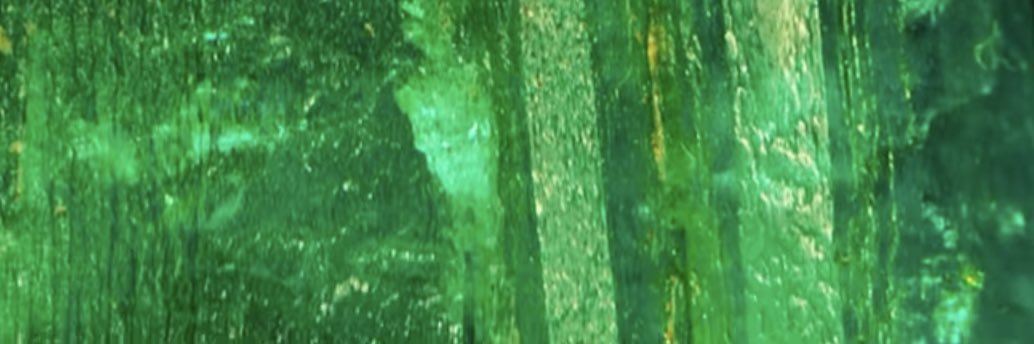 ( ( ( JAI TEA ) ) ) banner