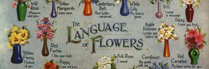 RuthKendall's profile banner image