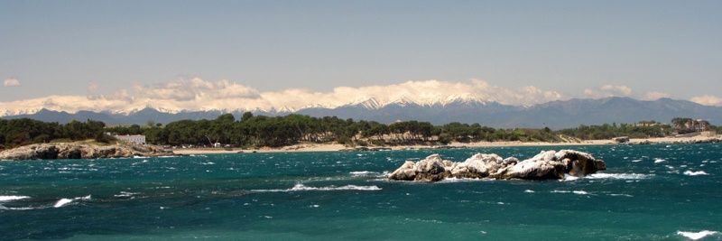 Sergi Corral Buela🐟🐙🌳🍄⚡ banner