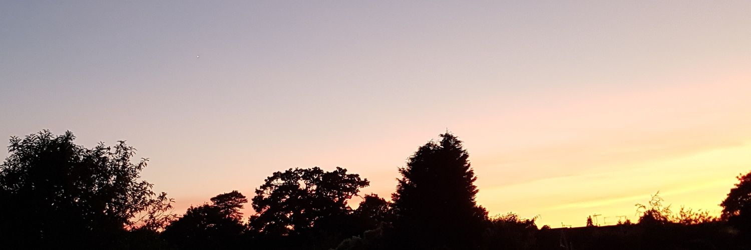 FizzleW's profile banner image