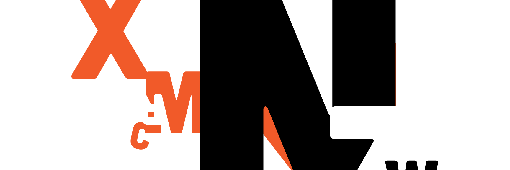 Mario Rini banner