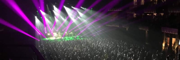 Hart Shouldice banner