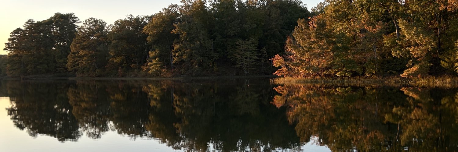 SC0TTYM00N's profile banner image