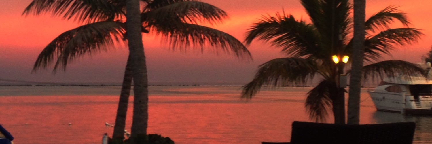 pattipeish's profile banner image