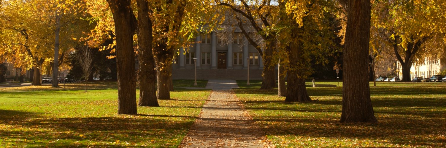 CSU Alumni Assoc. banner