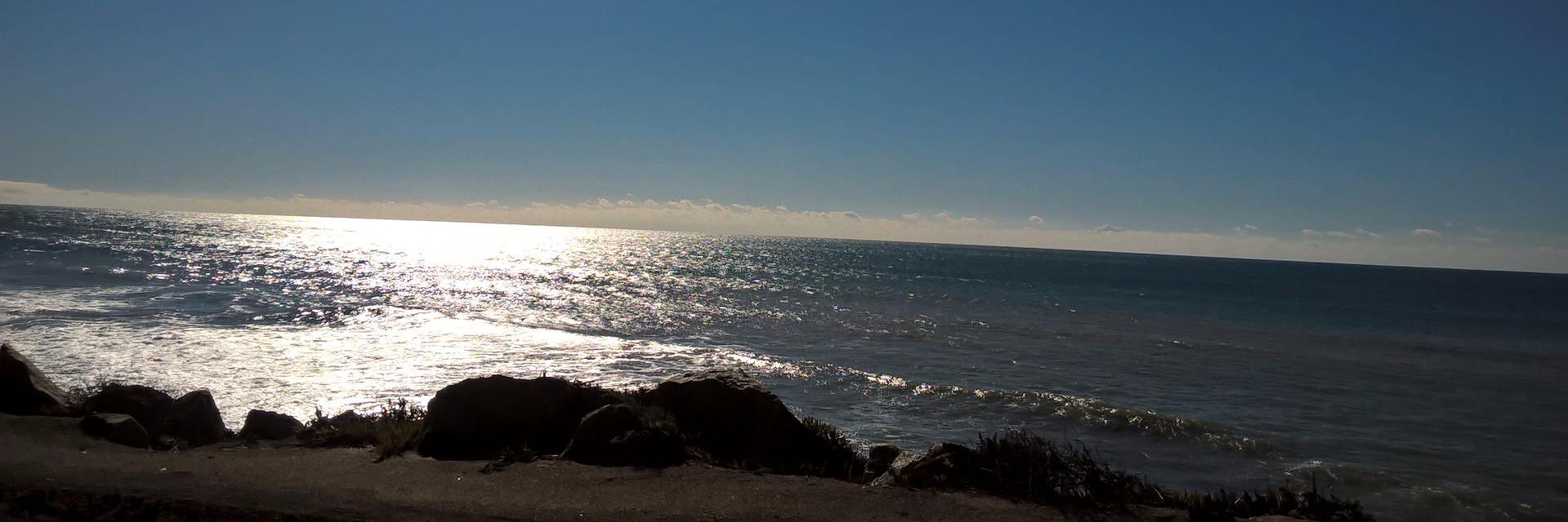 wangari githinji banner