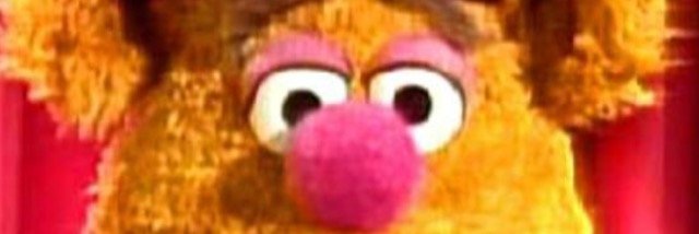 Michelle Traynor banner