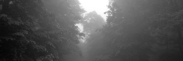 White00Flag Profile Banner