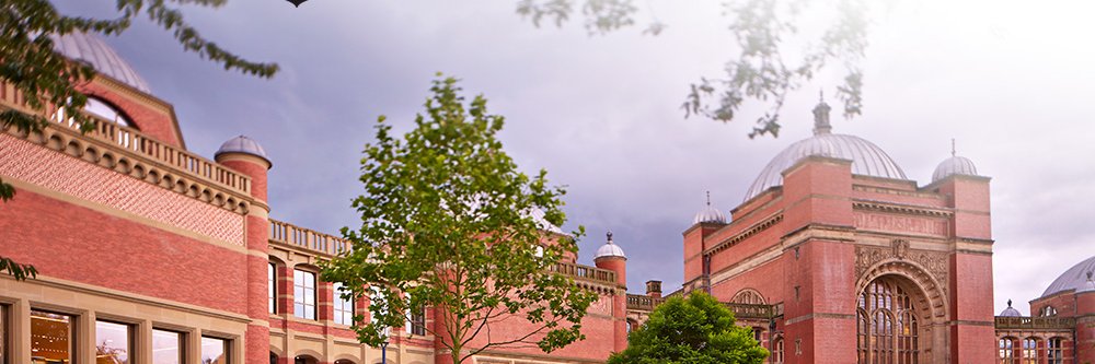 dLLurpak's profile banner image
