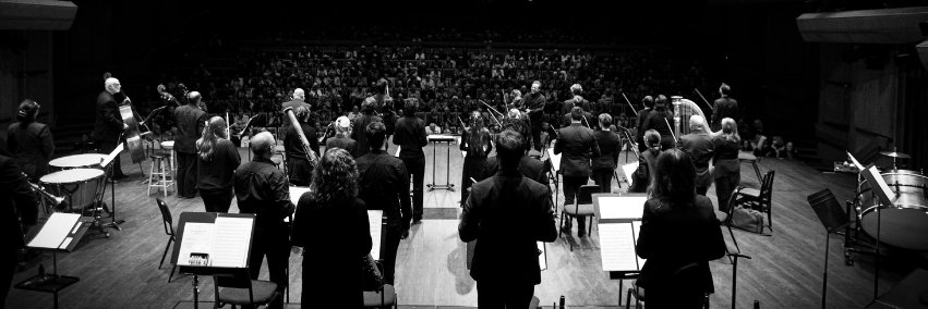 Victoria Symphony banner