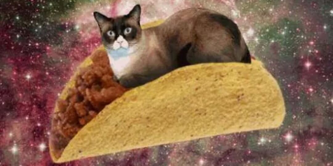 tomlin050's profile banner image