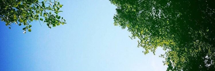 tanida12's profile banner image