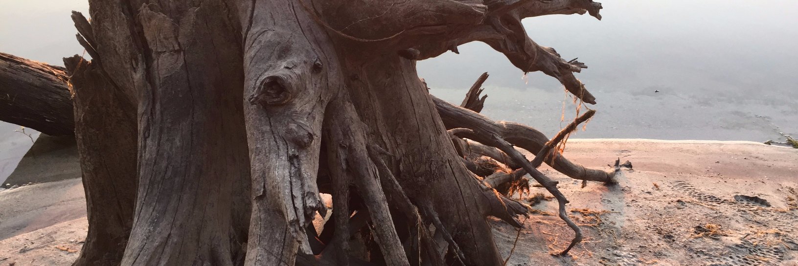 bynary's profile banner image