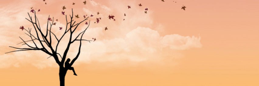 Elyla_Le's profile banner image