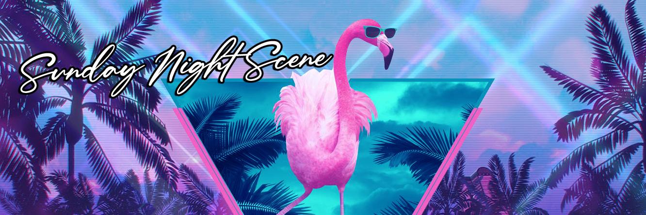 SundayNiteScene's profile banner image