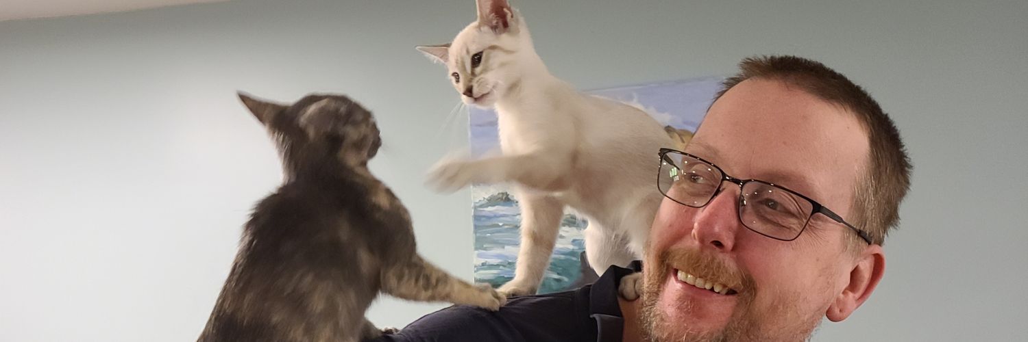 Stephan 🙀🐈the Bionic Cats 🐈 banner