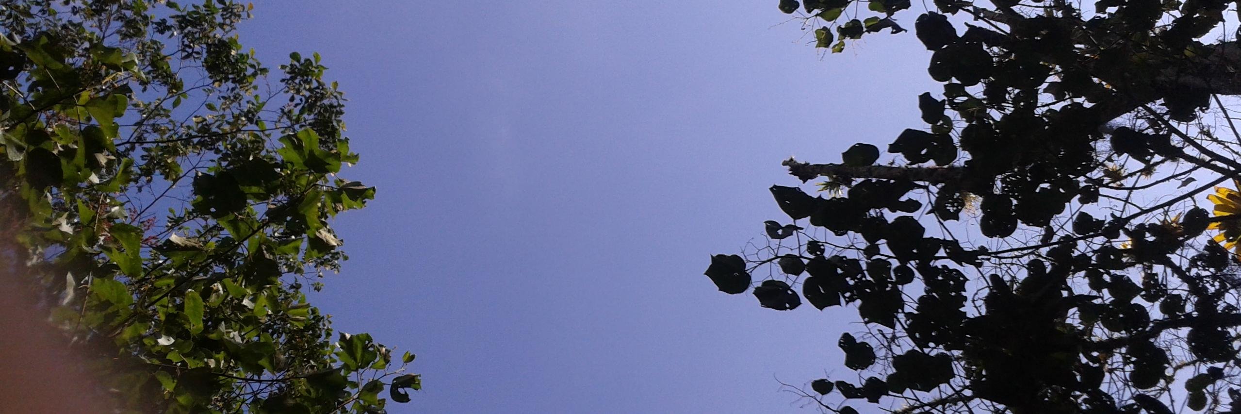dfiguera's profile banner image