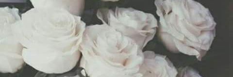 FlyLikeBizzle's profile banner image