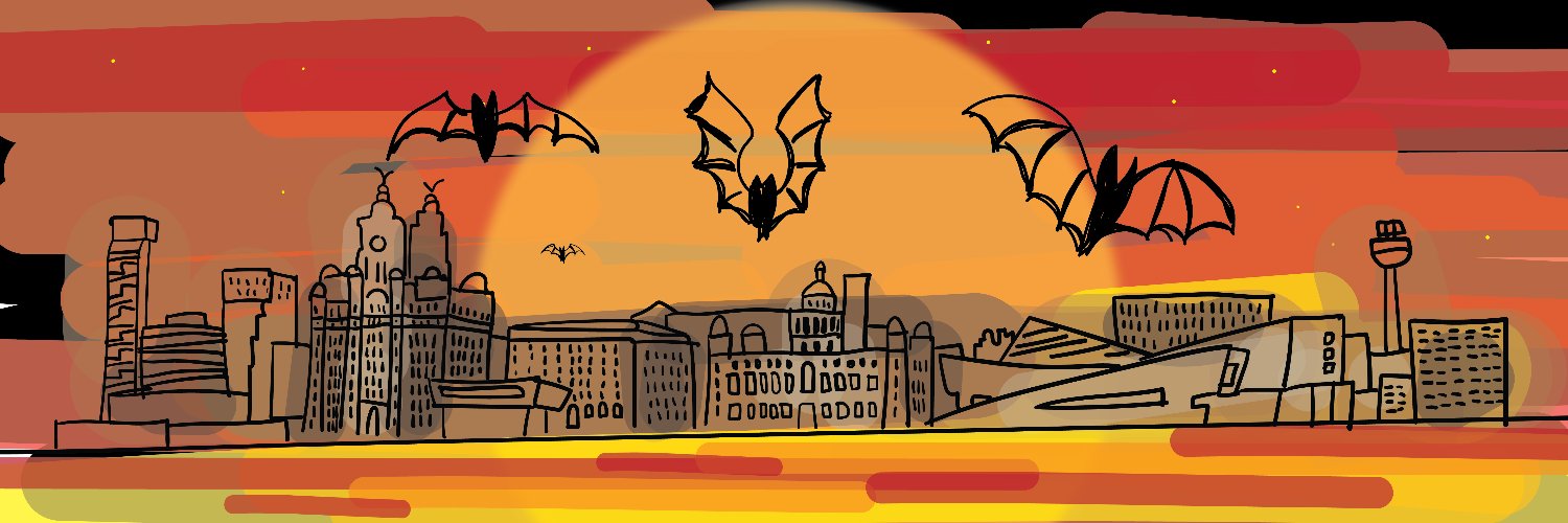 lpoolcouncil's profile banner image