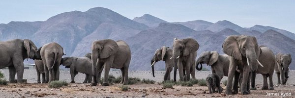 DSWFWildlife Profile Banner