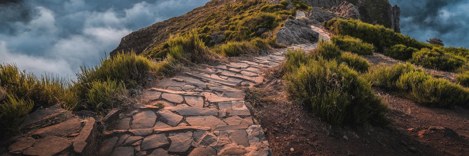 Hannah Bell 🇨🇦💚 banner