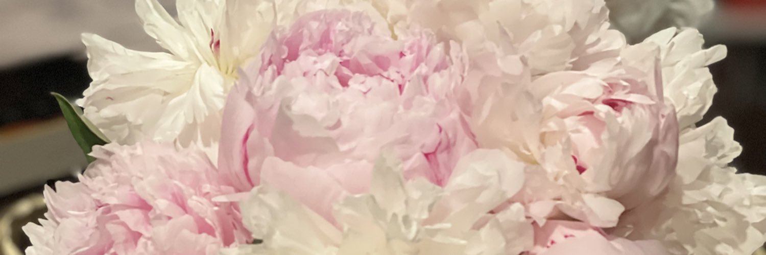 MissCunqui's profile banner image