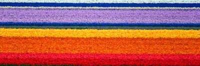 LigiyaFR's profile banner image