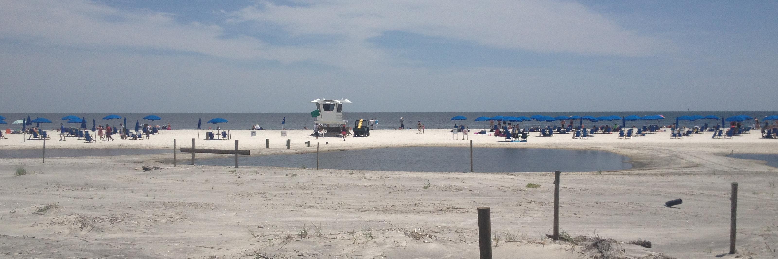 Cynthia Acoff banner