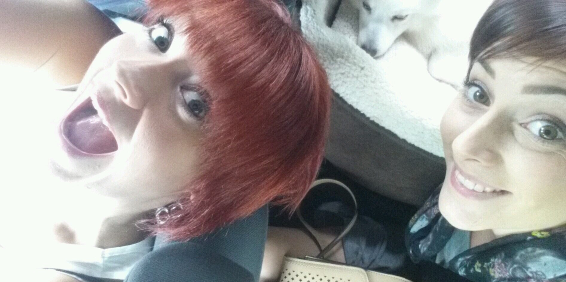 nixie_the_pixie's profile banner image