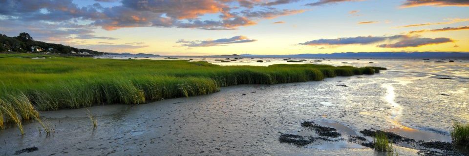 ClaudeMessierM's profile banner image