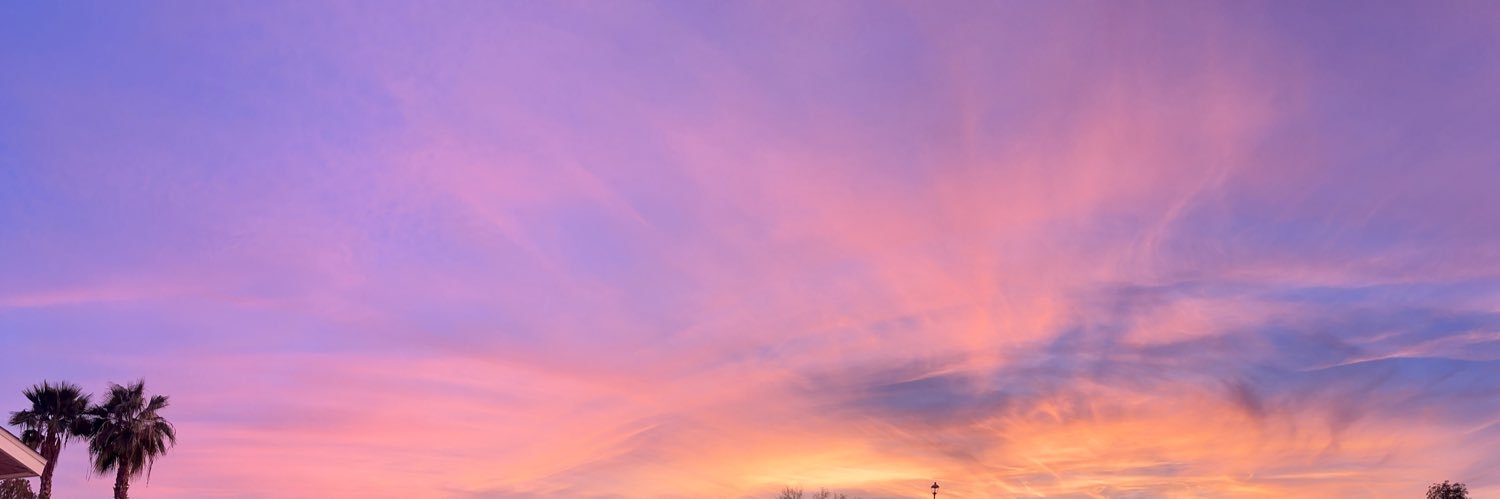 MsVonSweet 🖤 banner