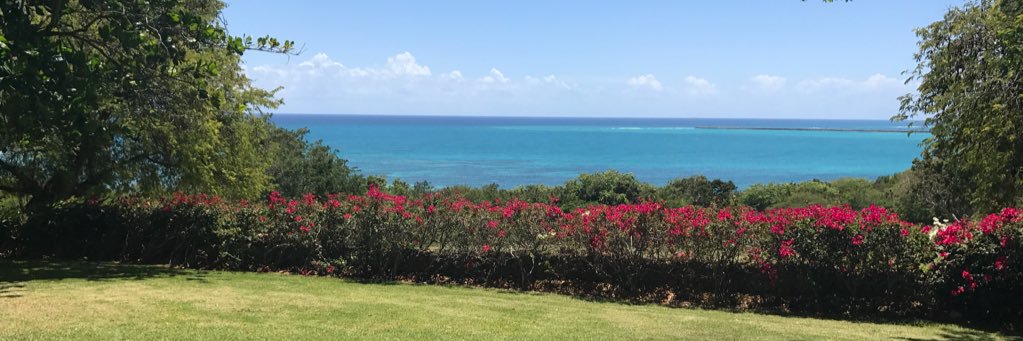 Carter Markham Brainerd banner