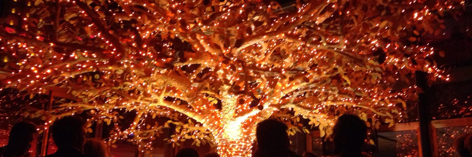 Kate_Grimshaw's profile banner image