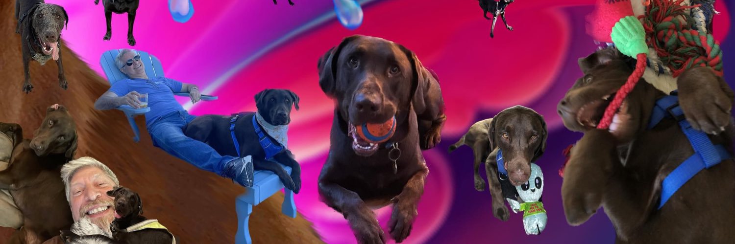 LionSnax's profile banner image