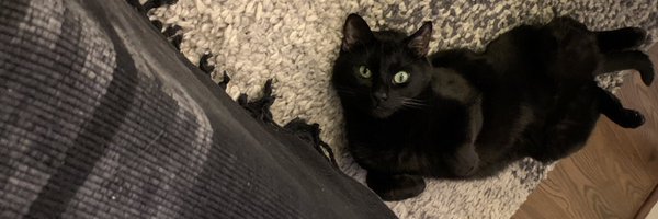 CarolineHBauer Profile Banner