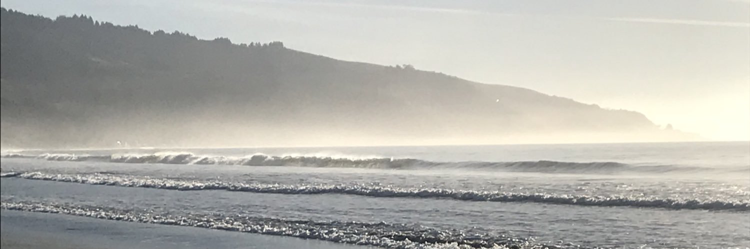 BDWarden's profile banner image